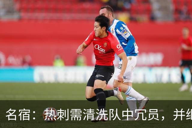 名宿：热刺需清洗队中冗员，并继续引援支持德泽尔比建队